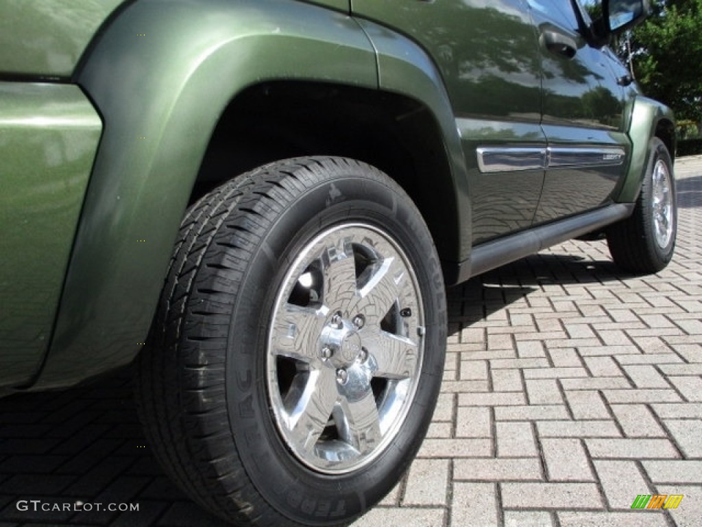 2006 Liberty Limited - Jeep Green Metallic / Dark Khaki/Light Graystone photo #27