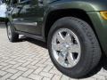 2006 Jeep Green Metallic Jeep Liberty Limited  photo #31