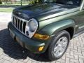 2006 Jeep Green Metallic Jeep Liberty Limited  photo #34