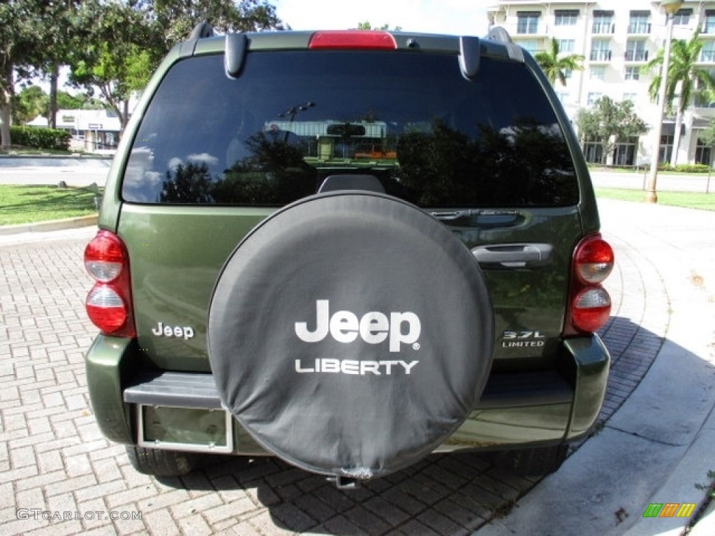 2006 Liberty Limited - Jeep Green Metallic / Dark Khaki/Light Graystone photo #42