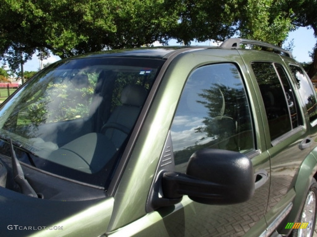 2006 Liberty Limited - Jeep Green Metallic / Dark Khaki/Light Graystone photo #54