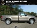 Stone Gray 2018 Ford F150 XL Regular Cab 4x4