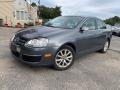 Platinum Grey Metallic 2010 Volkswagen Jetta SE Sedan