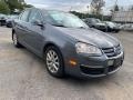 Platinum Grey Metallic - Jetta SE Sedan Photo No. 7