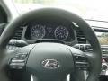 Gray 2019 Hyundai Elantra SEL Steering Wheel