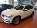 Alpine White 2019 BMW X3 Gallery