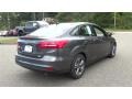 Magnetic - Focus SE Sedan Photo No. 7