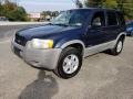 True Blue Metallic - Escape XLT V6 Photo No. 3
