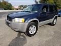 2002 True Blue Metallic Ford Escape XLT V6  photo #3