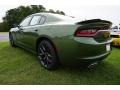 2019 F8 Green Dodge Charger SXT  photo #13