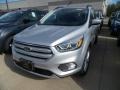 2019 Ingot Silver Ford Escape SEL 4WD  photo #1