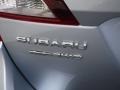 2016 Ice Silver Metallic Subaru Outback 2.5i Premium  photo #10