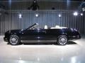 2008 Black Sapphire Bentley Azure   photo #17