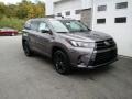 Front 3/4 View of 2019 Highlander SE AWD