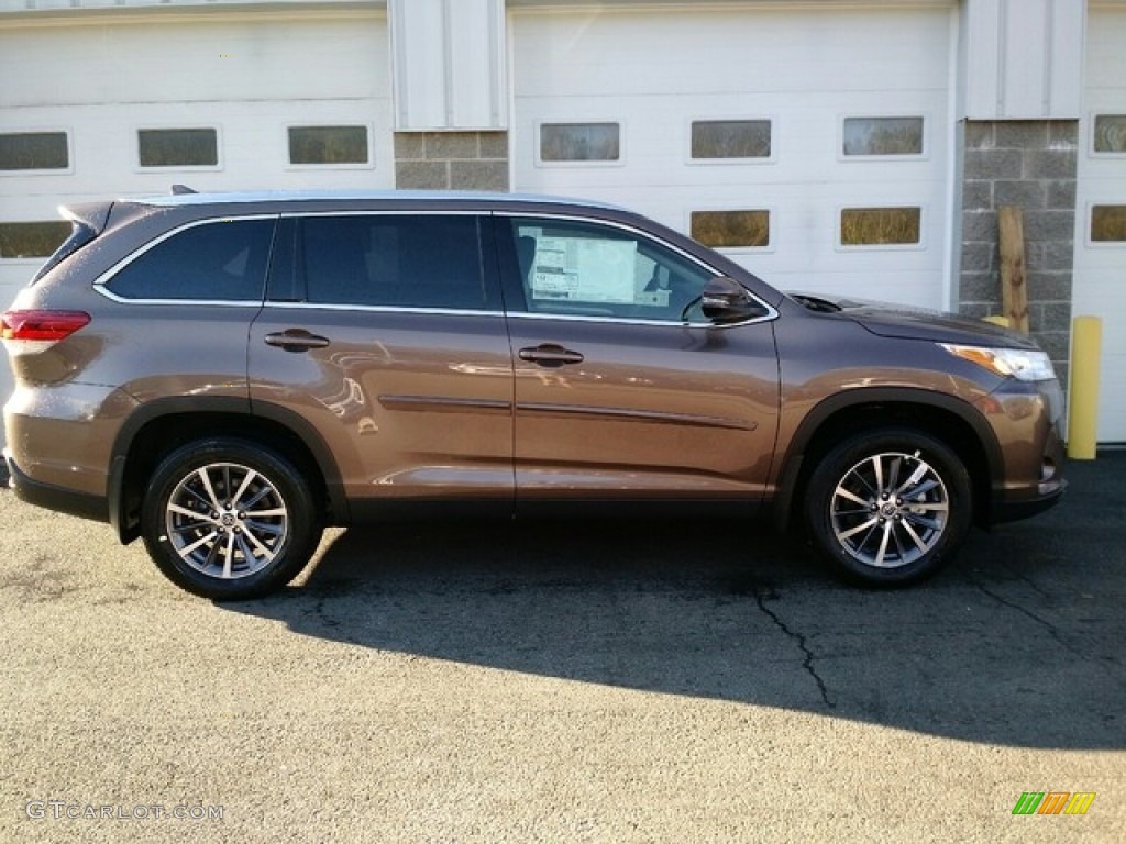 2019 Highlander XLE AWD - Toasted Walnut Pearl / Black photo #2