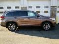 Toasted Walnut Pearl 2019 Toyota Highlander XLE AWD Exterior