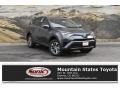 2018 Magnetic Gray Metallic Toyota RAV4 XLE AWD Hybrid  photo #1