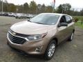 Sandy Ridge Metallic - Equinox LS AWD Photo No. 4