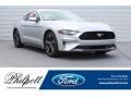 2019 Ingot Silver Ford Mustang EcoBoost Fastback  photo #1