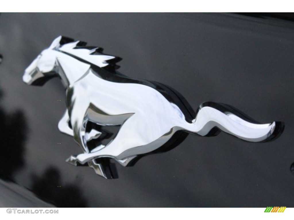2019 Mustang EcoBoost Fastback - Ingot Silver / Ebony photo #10