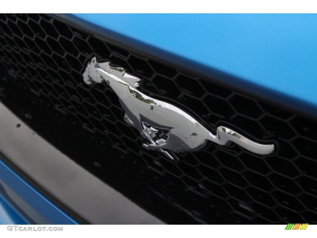 2019 Mustang GT Fastback - Velocity Blue / Ebony photo #4
