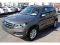 Pepper Gray Metallic - Tiguan S Photo No. 4