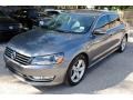 Platinum Gray Metallic - Passat Wolfsburg Edition Sedan Photo No. 3