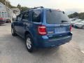 2010 Sport Blue Metallic Ford Escape XLT  photo #3