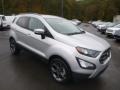 Moondust Silver - EcoSport SES 4WD Photo No. 3