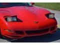 2001 Torch Red Chevrolet Corvette Coupe  photo #28