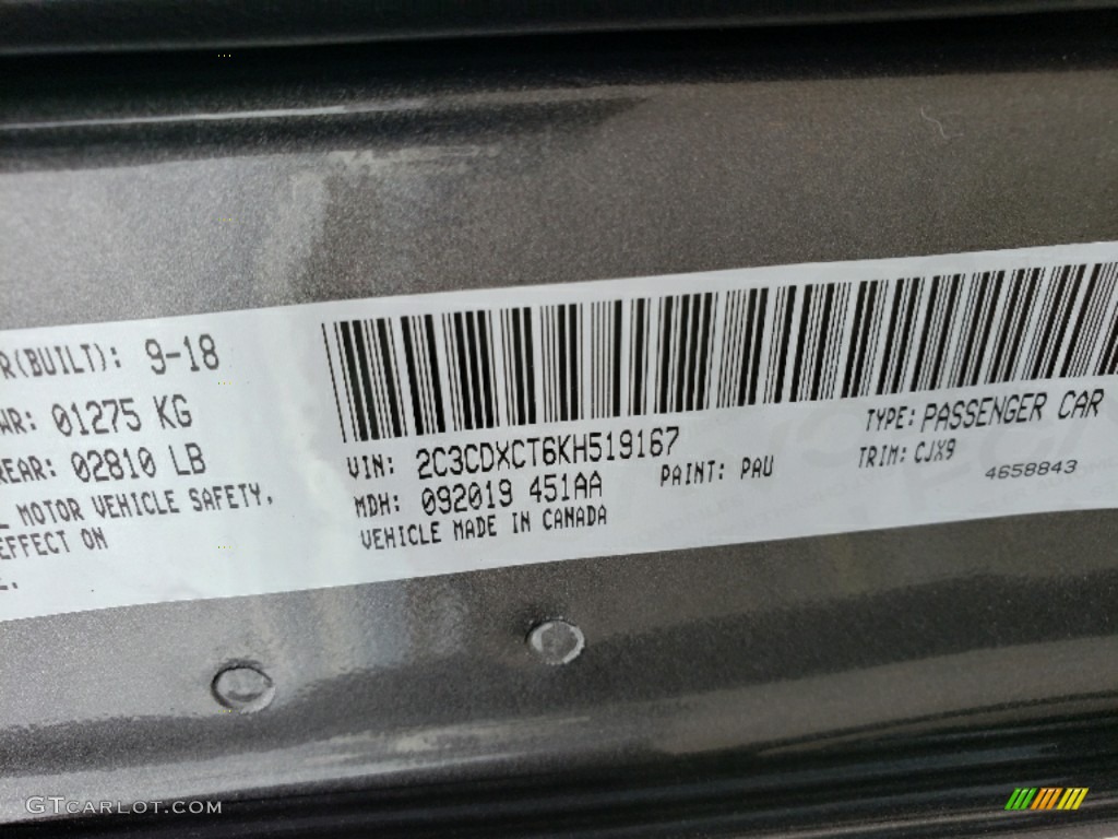 2019 Charger Color Code PAU for Granite Pearl Photo #130158135