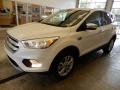 White Platinum - Escape SE 4WD Photo No. 8