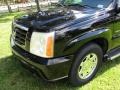 Sable Black - Escalade ESV AWD Photo No. 59