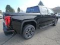 2019 Onyx Black GMC Sierra 1500 AT4 Crew Cab 4WD  photo #5