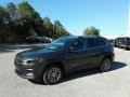Granite Crystal Metallic - Cherokee Latitude Plus Photo No. 1