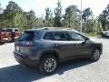 Granite Crystal Metallic - Cherokee Latitude Plus Photo No. 5