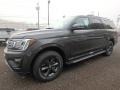 Magnetic 2018 Ford Expedition XLT 4x4 Exterior