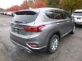 2019 Machine Gray Hyundai Santa Fe SEL AWD  photo #2