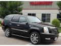 Black Raven - Escalade AWD Photo No. 1