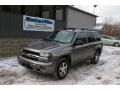 Graystone Metallic - TrailBlazer LS 4x4 Photo No. 1