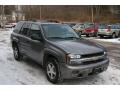 Graystone Metallic - TrailBlazer LS 4x4 Photo No. 13