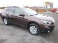 Cinnamon Brown Pearl - Outback 2.5i Premium Photo No. 1
