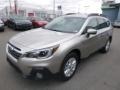 Tungsten Metallic - Outback 2.5i Premium Photo No. 8