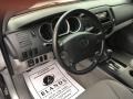 Silver Streak Mica - Tacoma Access Cab Photo No. 25