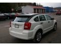 Stone White - Caliber SXT Photo No. 12