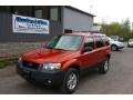 Blazing Copper Metallic - Escape XLT V6 4WD Photo No. 1