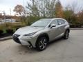Atomic Silver - NX 300 AWD Photo No. 1