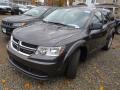 2018 Bruiser Grey Dodge Journey SE  photo #8