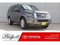 2013 Sterling Gray Ford Expedition Limited #130302706