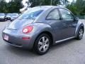 Platinum Grey - New Beetle 2.5 Coupe Photo No. 5